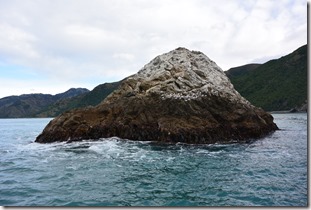 Weltreise 2013 - Neuseeland 097