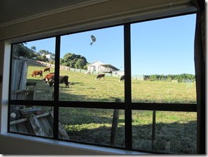 Weltreise 2013 - Neuseeland 100