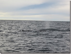 Weltreise 2013 - Neuseeland 140