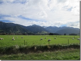 Weltreise 2013 - Neuseeland 151