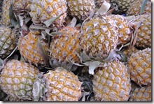 Thailand Winter 2015 013