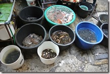 Thailand Winter 2015 009