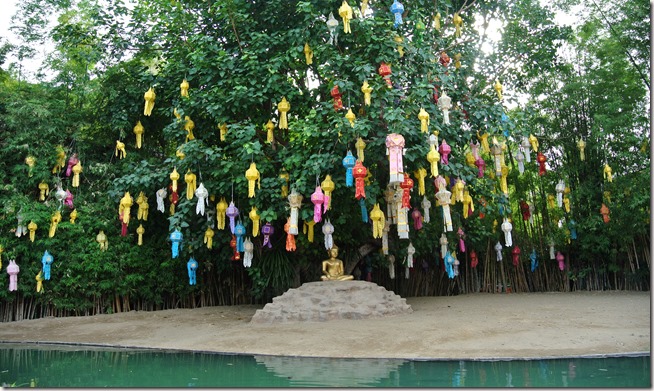 Thailand Winter 2015 034