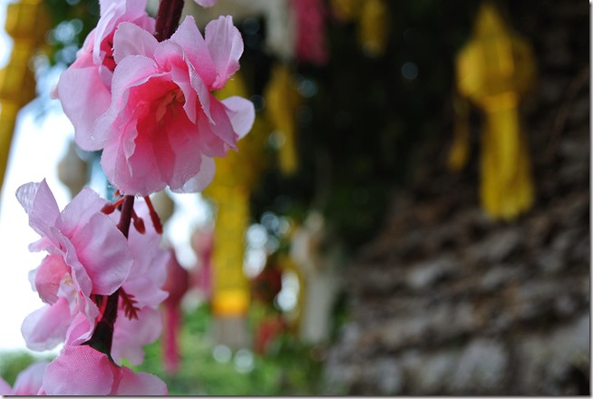 Thailand Winter 2015 041